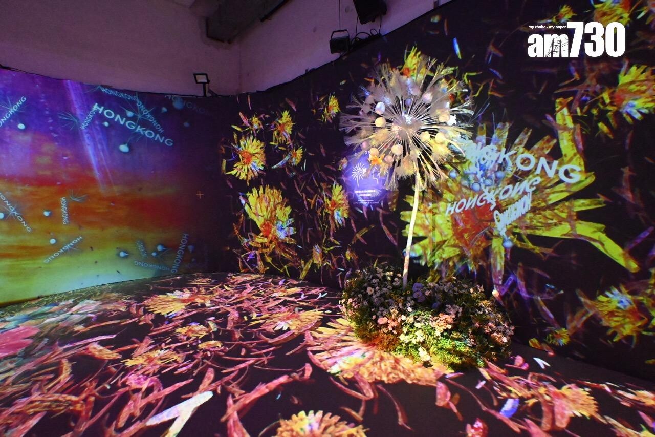 第八展區:與世界連接の蒲公英 DANDELION